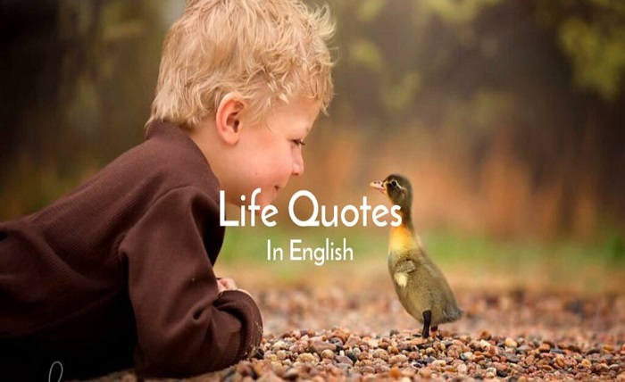 life unique dp quotes