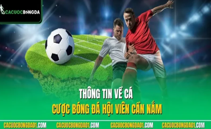 Football Betting