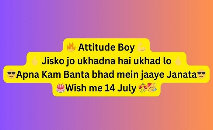 इंस्टाग्राम बायो इन हिंदी attitude